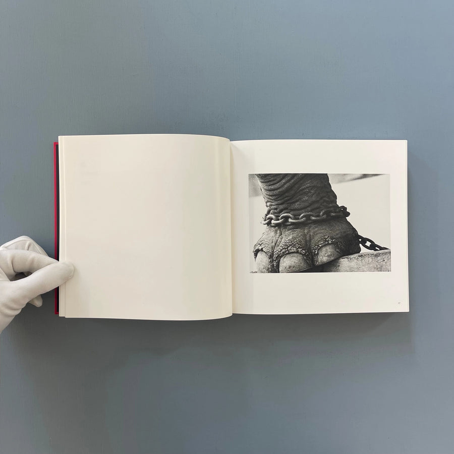 Issei Suda (signed) - Early works 1970-1975 - Akio Nagasawa Publishing 2013