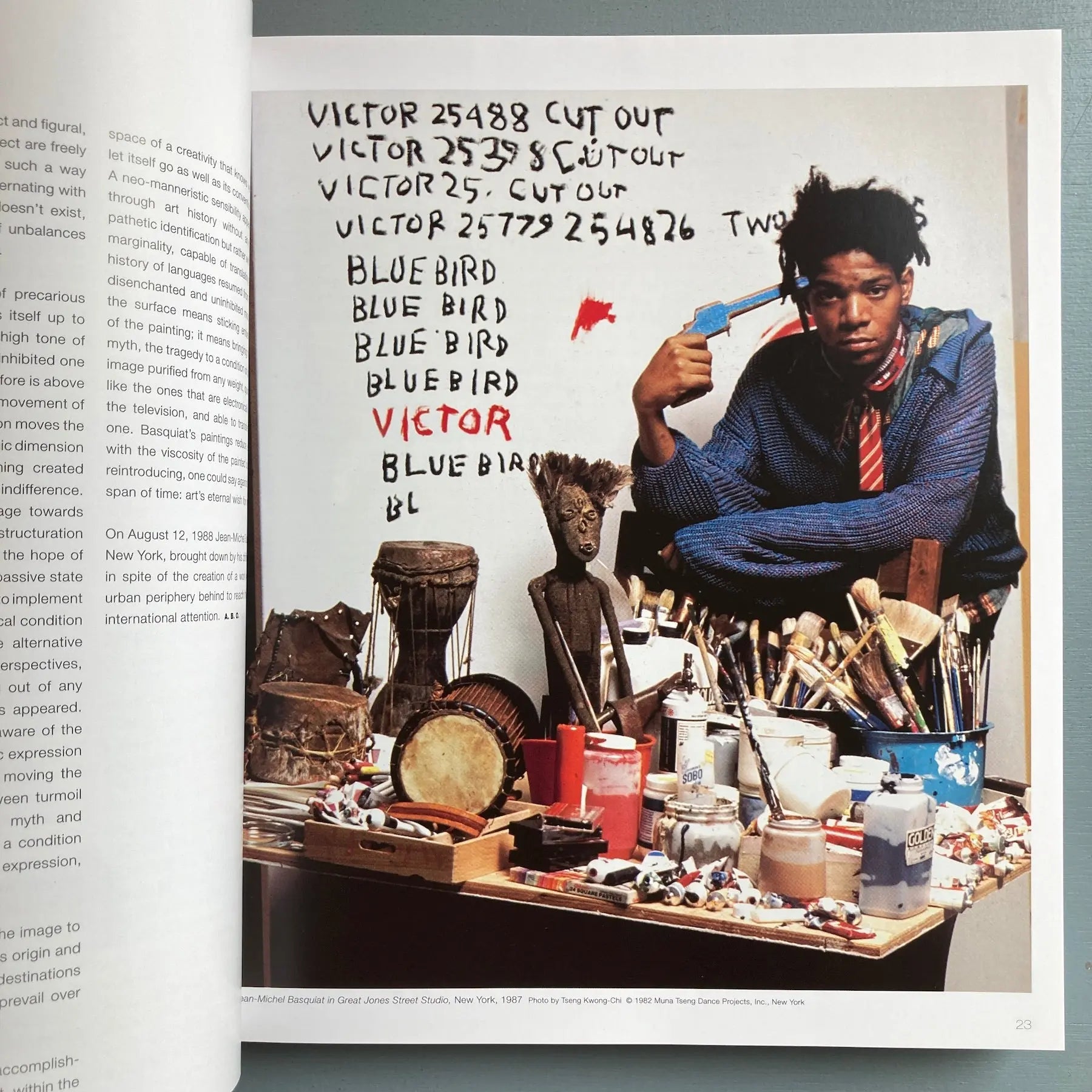 JeanMichel Basquiat Catalogue Raisonne 3rd edition SaintMartin