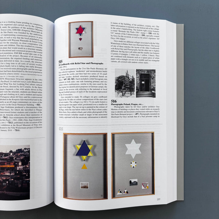 Jef Geys - Catalogue Raisonnable - MER.Books 2025 - Saint-Martin Bookshop