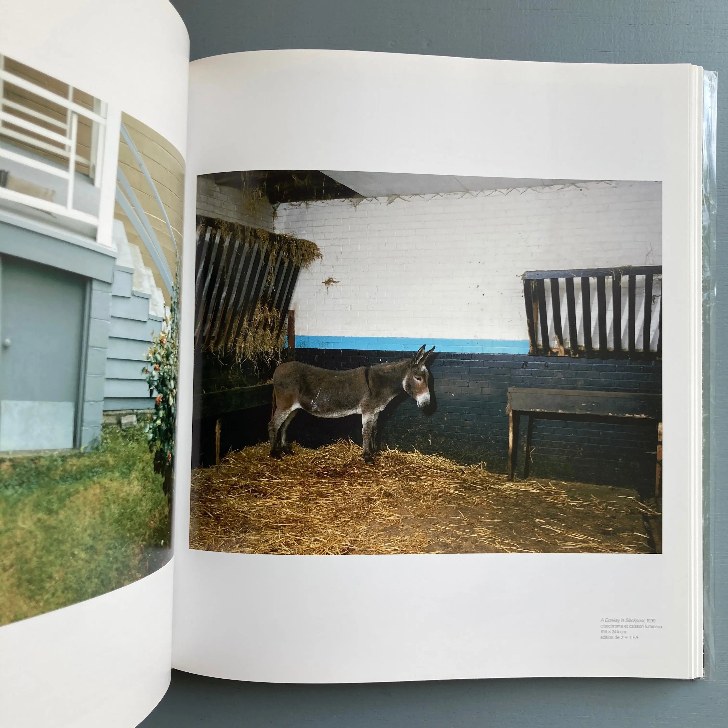 Jeff Wall - Phaidon 2010 - Saint-Martin Bookshop