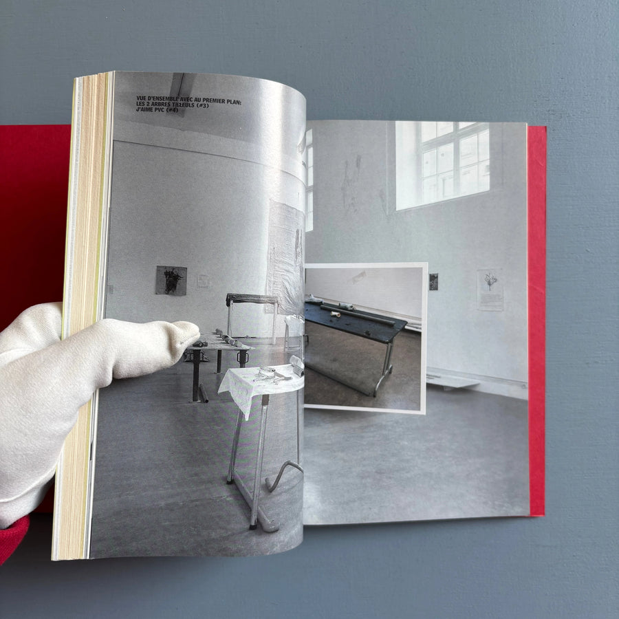 Jimmie Durham - Eurasian Project, Stage One - Le Collège Editions 1996 - Saint-Martin Bookshop