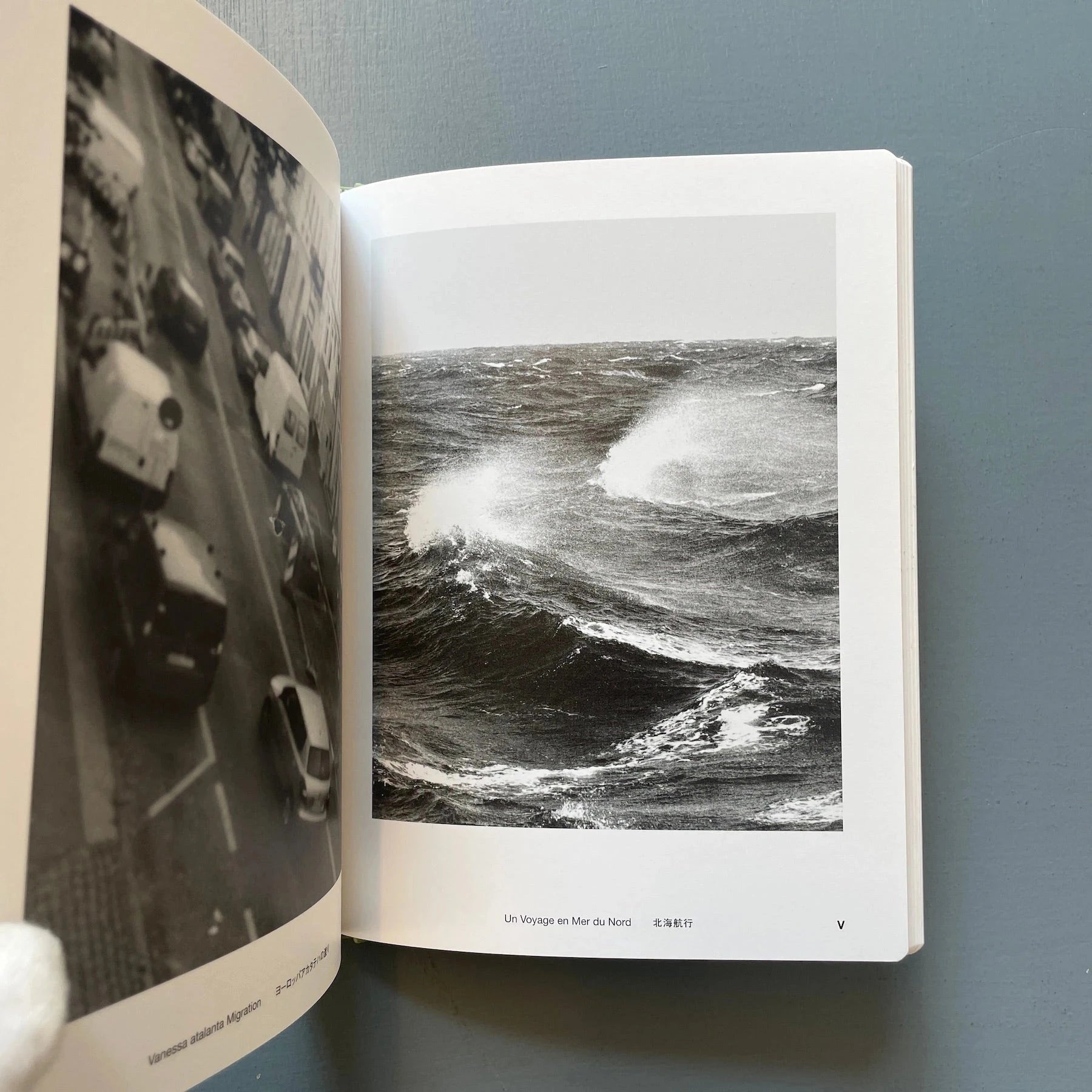 ヨヘン・レンペルト写真集「Field Guide」イズフォトミュージアム Amazon.co.jp: ヨヘン・レンペルト写真集「Field Guide」イズ