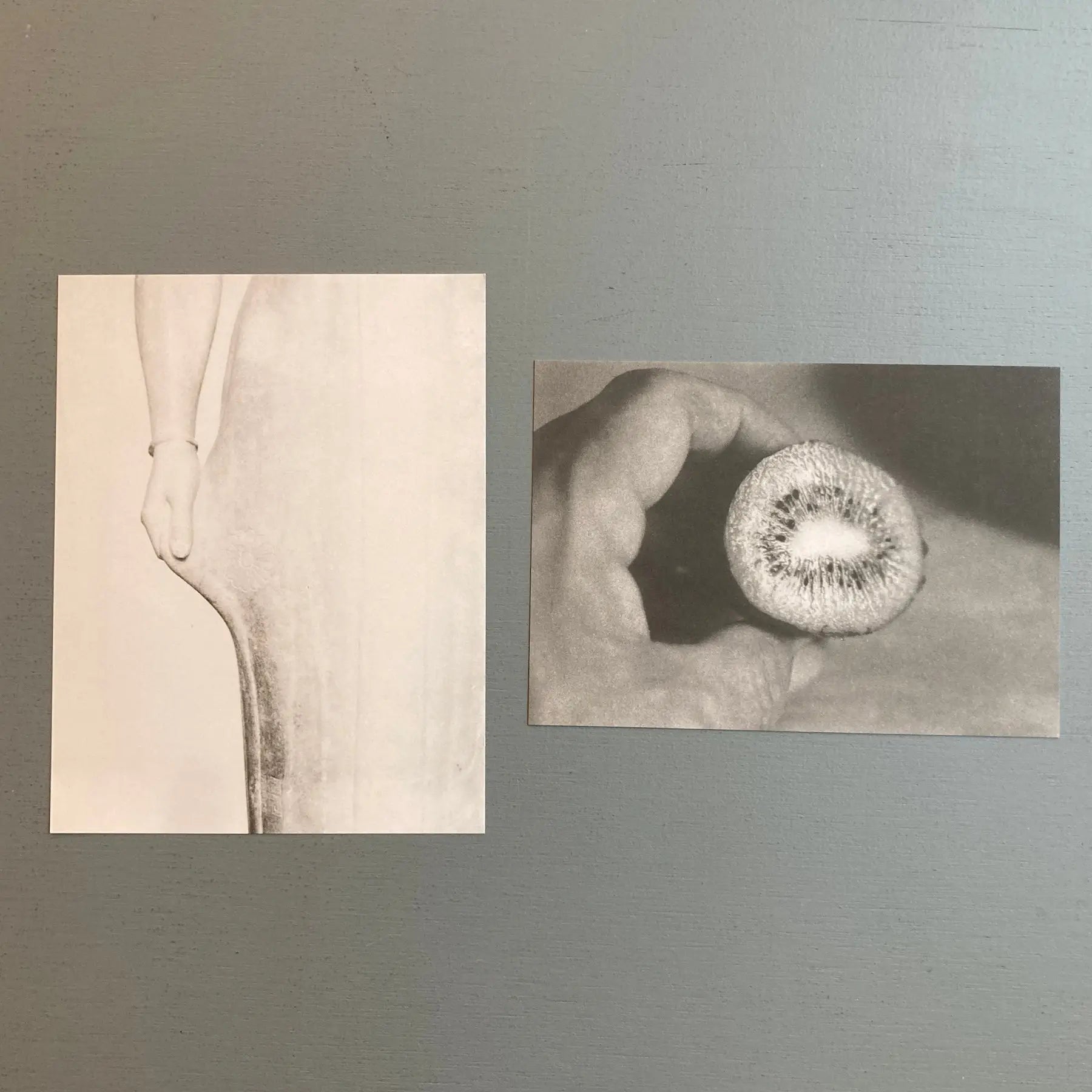 Jochen Lempert - A Field (8 Parts) - MACS 2023 - Saint-Martin Bookshop