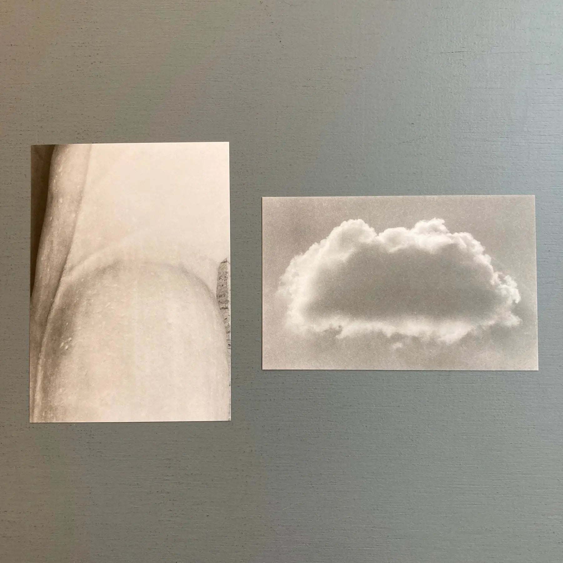 Jochen Lempert - A Field (8 Parts) - MACS 2023 - Saint-Martin Bookshop