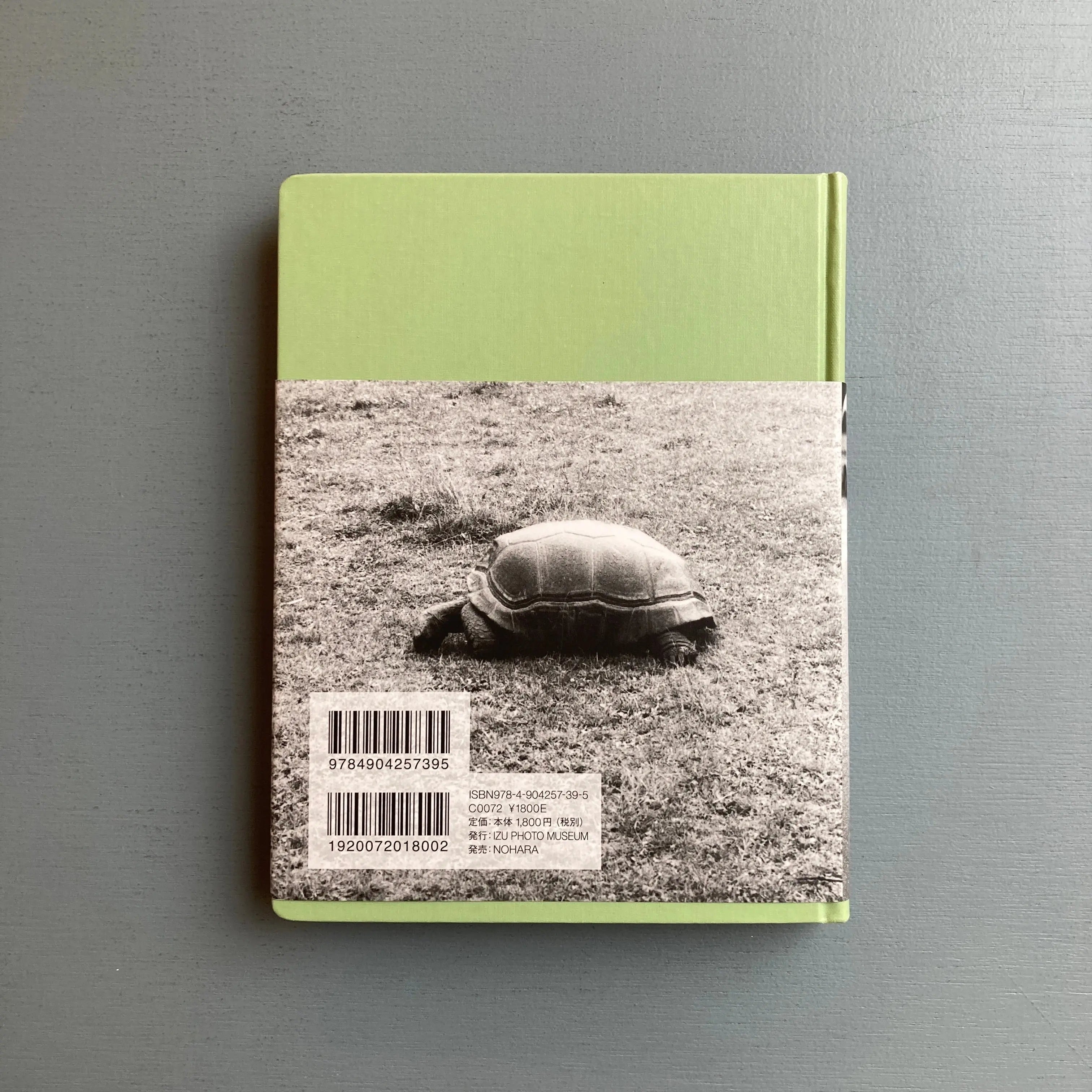 Jochen Lempert - Field Guide - Izu Photo Museum 2016 - Saint