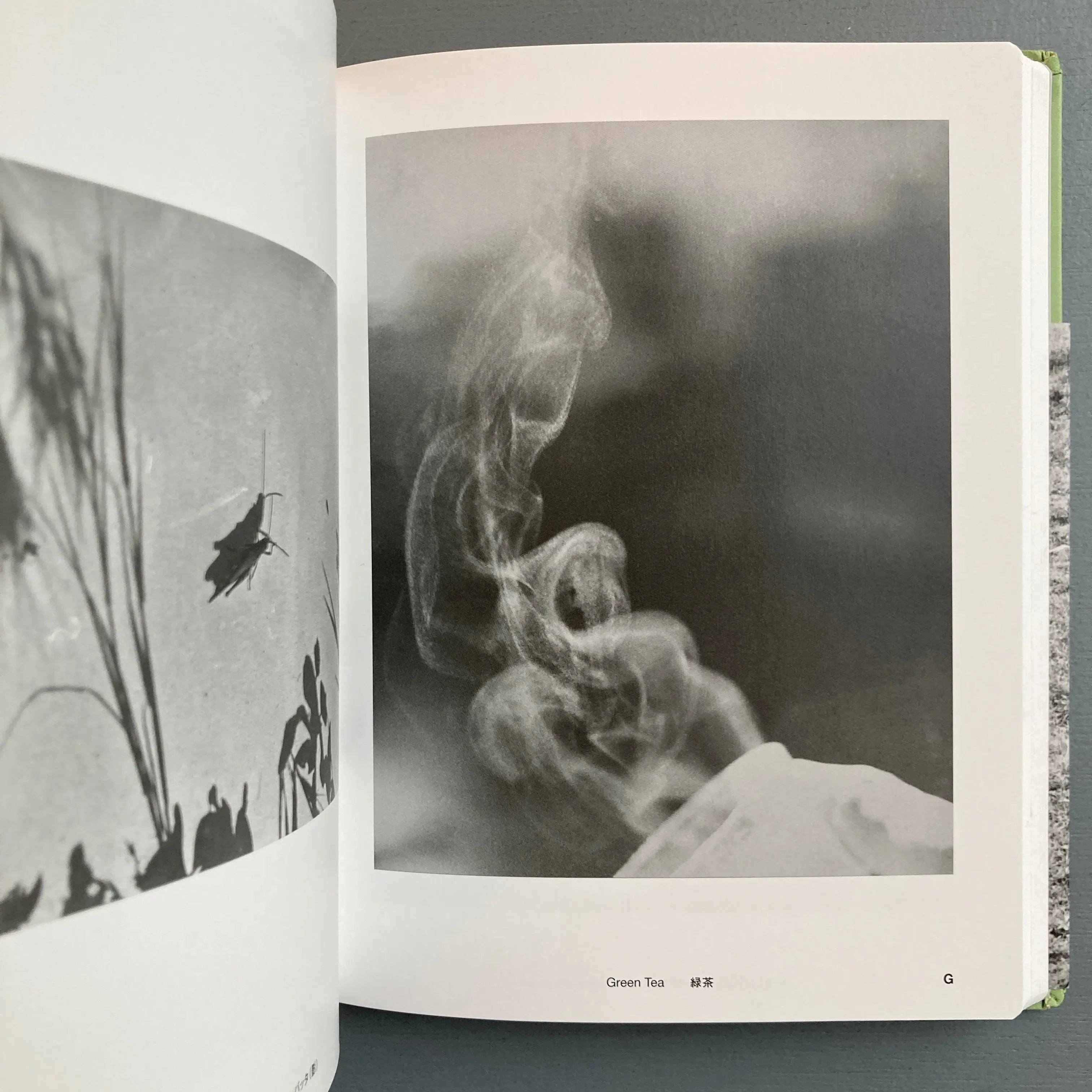 Jochen Lempert - Field Guide - Izu Photo Museum 2016 - Saint