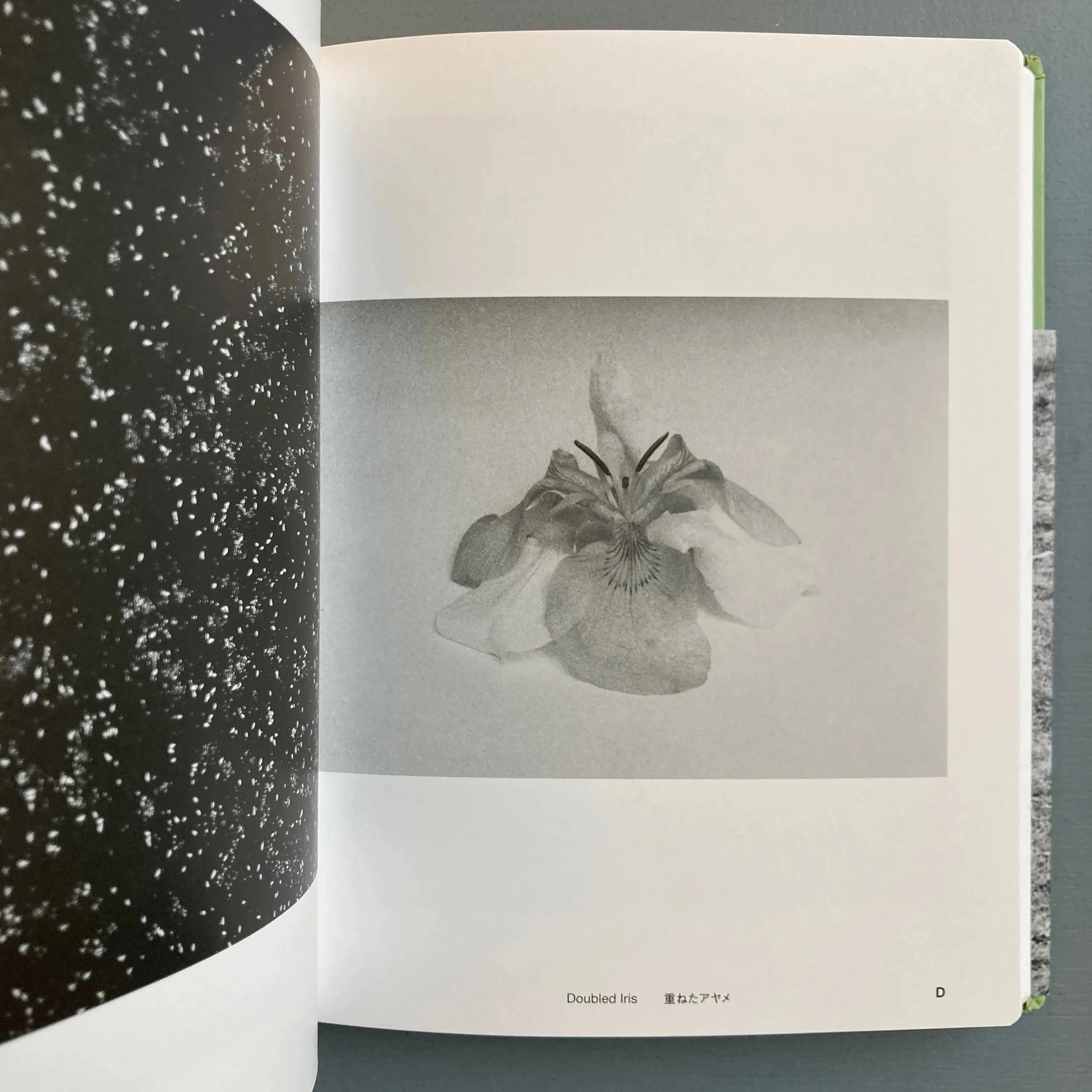 ヨヘン・レンペルト写真集「Field Guide」イズフォトミュージアム ヨヘン・レンペルト写真集「Field Guide」イズフォト