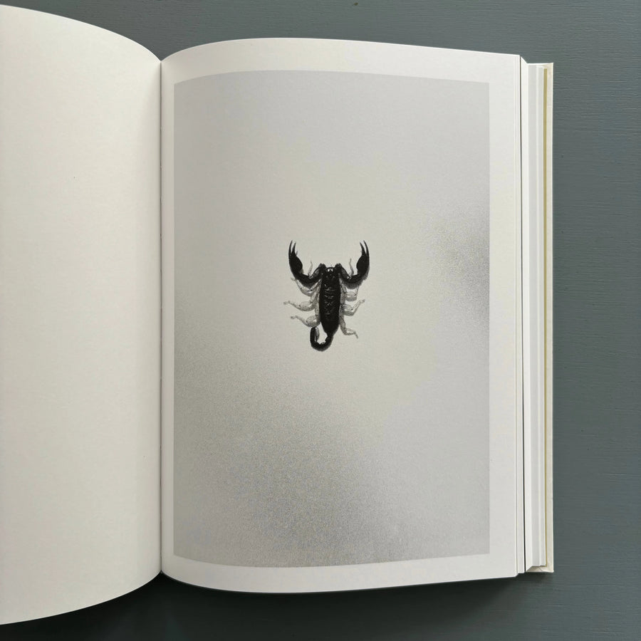 Jochen Lempert - Phenotype - König 2013 - Saint-Martin Bookshop