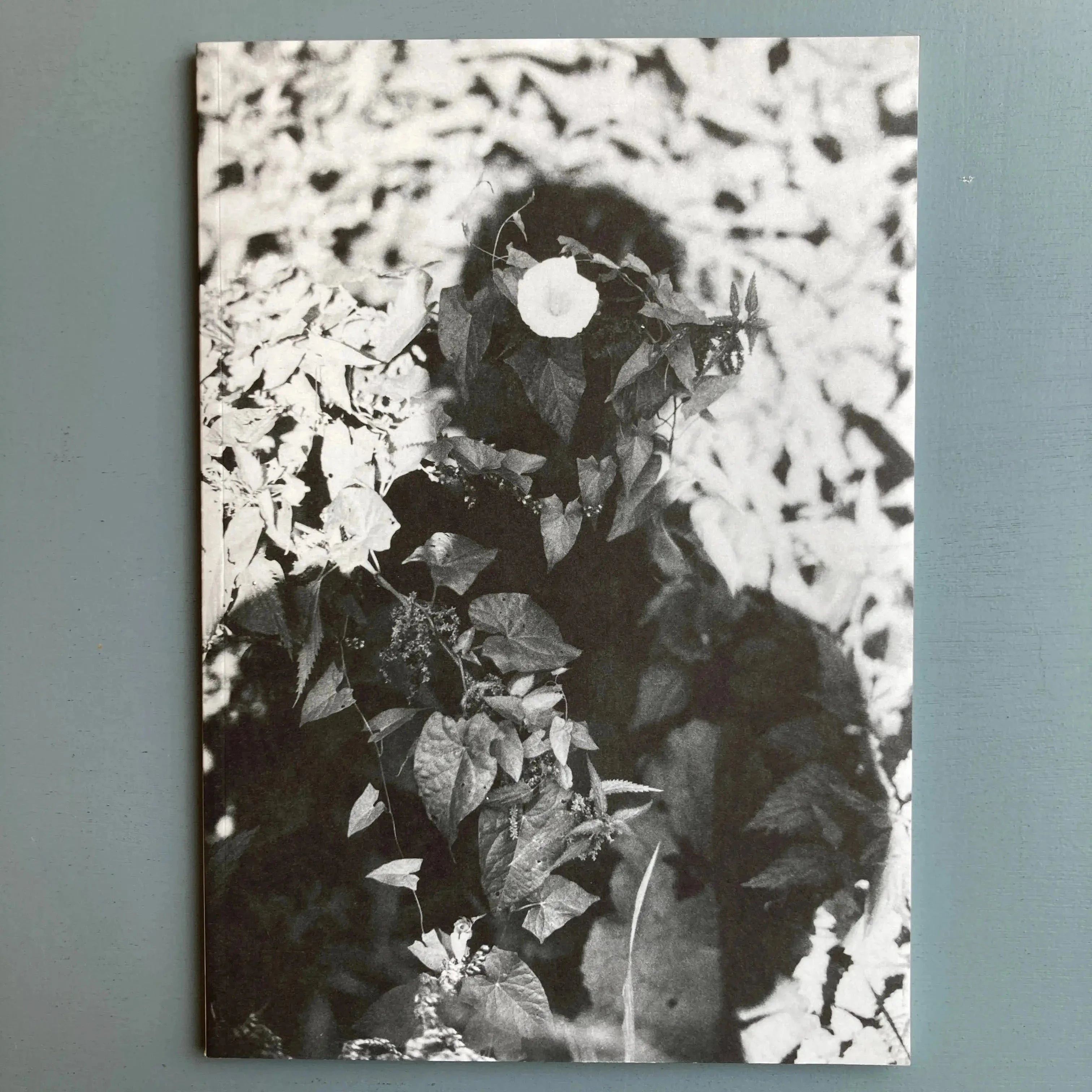 Jochen Lempert 作品集 Relacion 写真集 Jochen-Lempert-Relacion-Konig-
