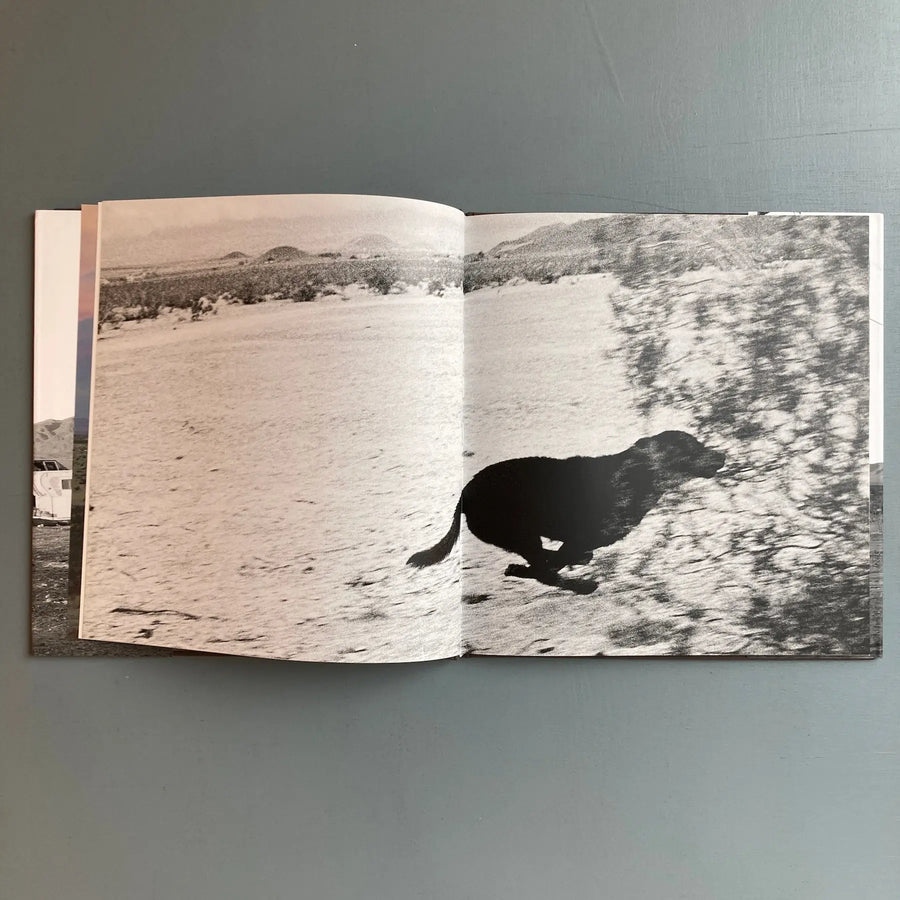 John Divola - Dogs Chasing my Car in the Desert - Nazraeli Press 2004 - Saint-Martin Bookshop