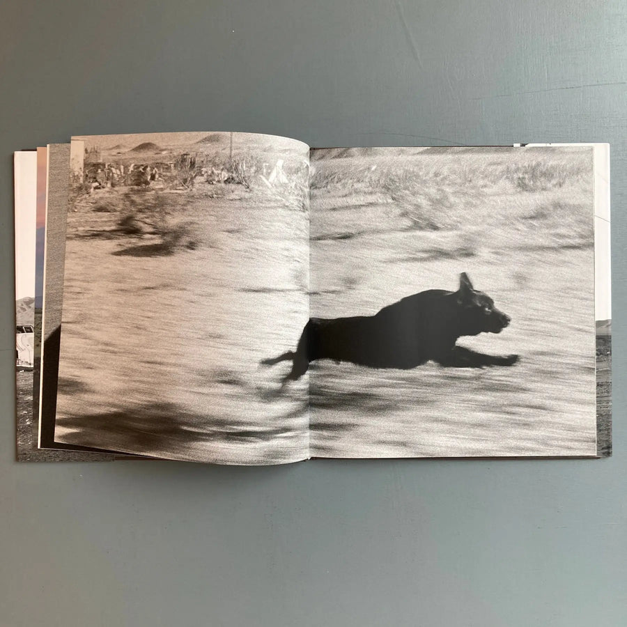 John Divola - Dogs Chasing my Car in the Desert - Nazraeli Press 2004 - Saint-Martin Bookshop