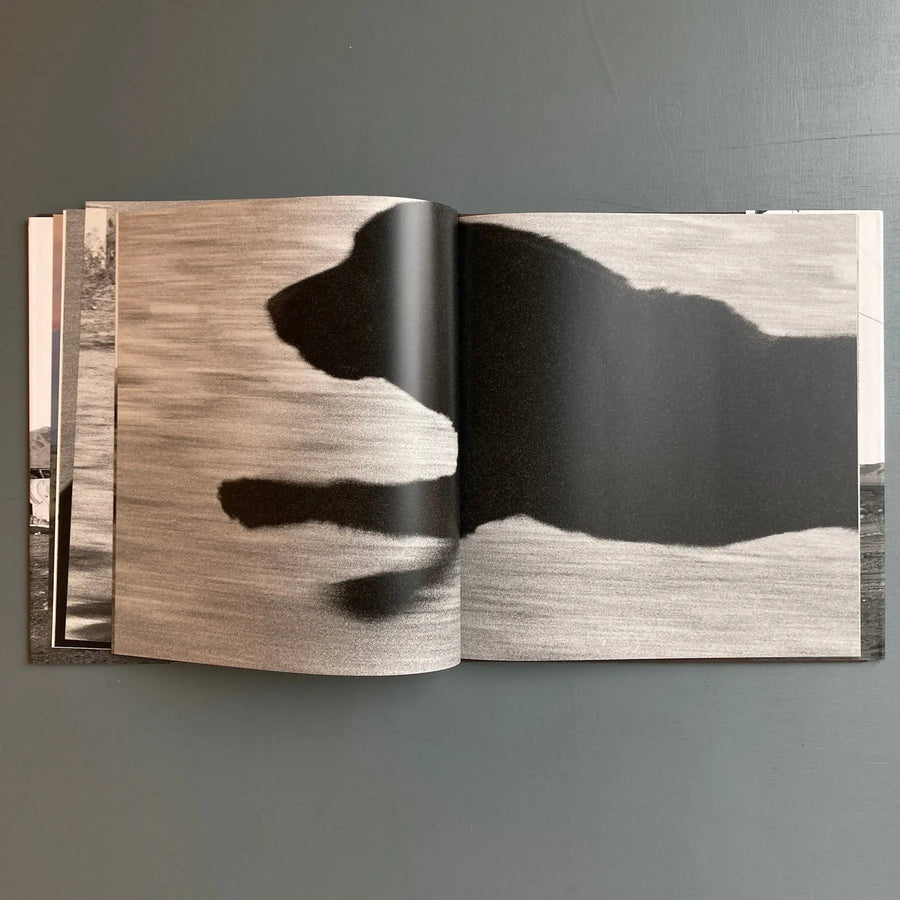 John Divola - Dogs Chasing my Car in the Desert - Nazraeli Press 2004 - Saint-Martin Bookshop