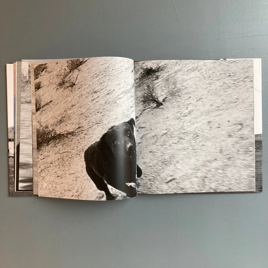 John Divola - Dogs Chasing my Car in the Desert - Nazraeli Press 2004 - Saint-Martin Bookshop