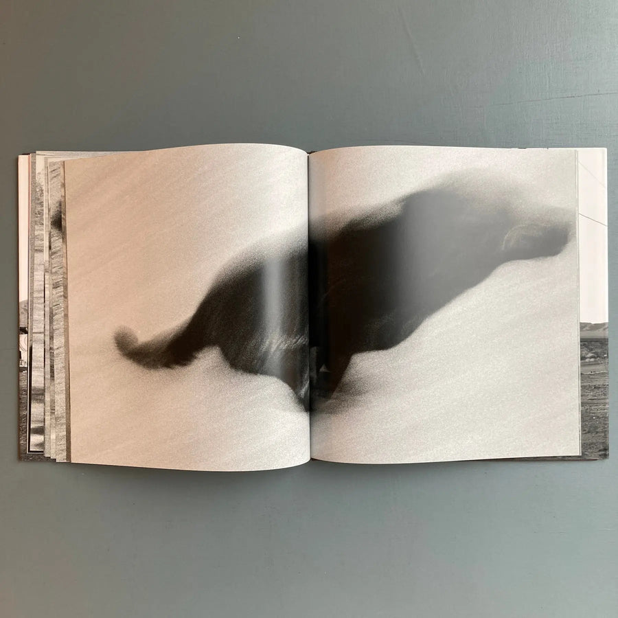 John Divola - Dogs Chasing my Car in the Desert - Nazraeli Press 2004 - Saint-Martin Bookshop