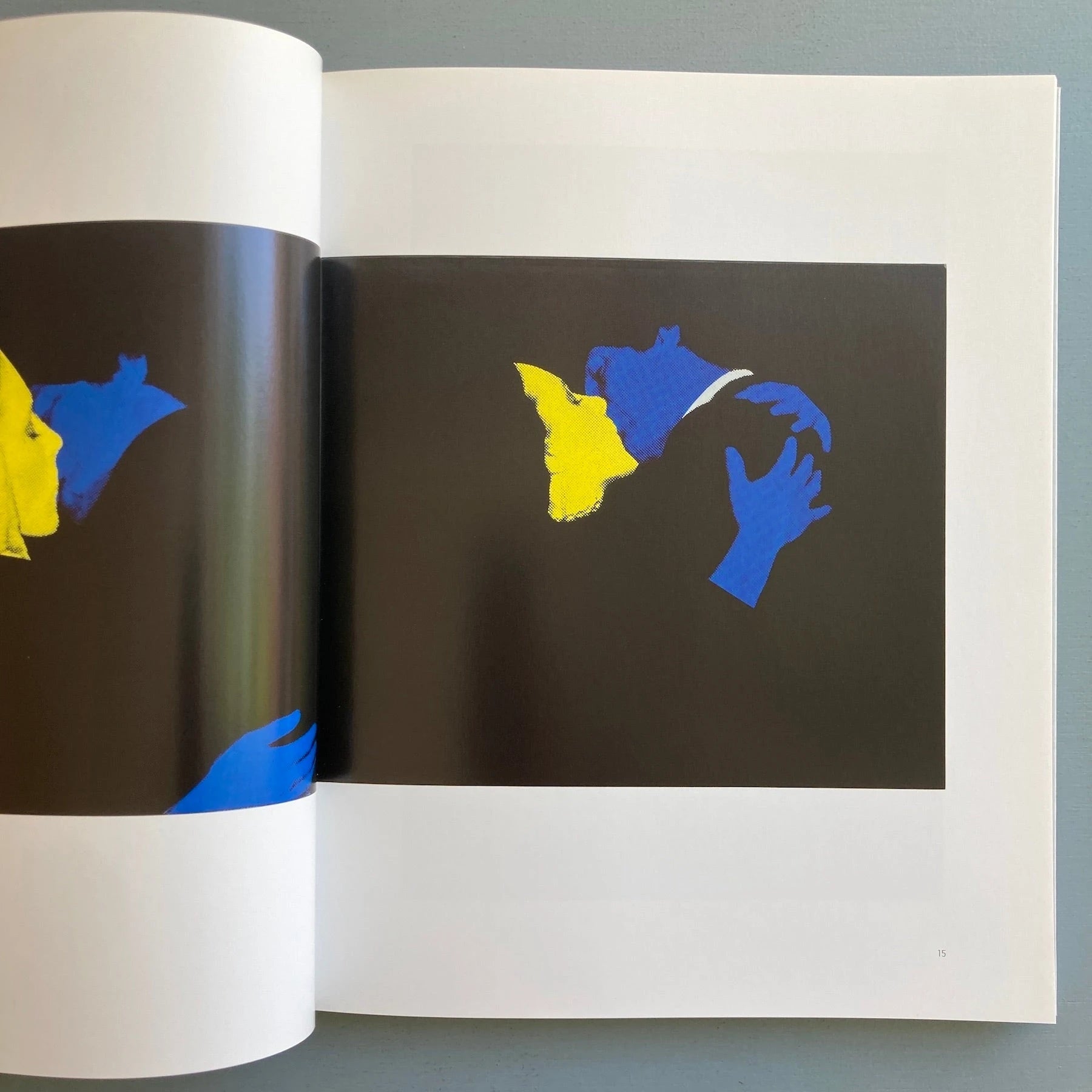 John Stezaker - Silkscreen - Ridinghouse 2010 - Saint-Martin Bookshop