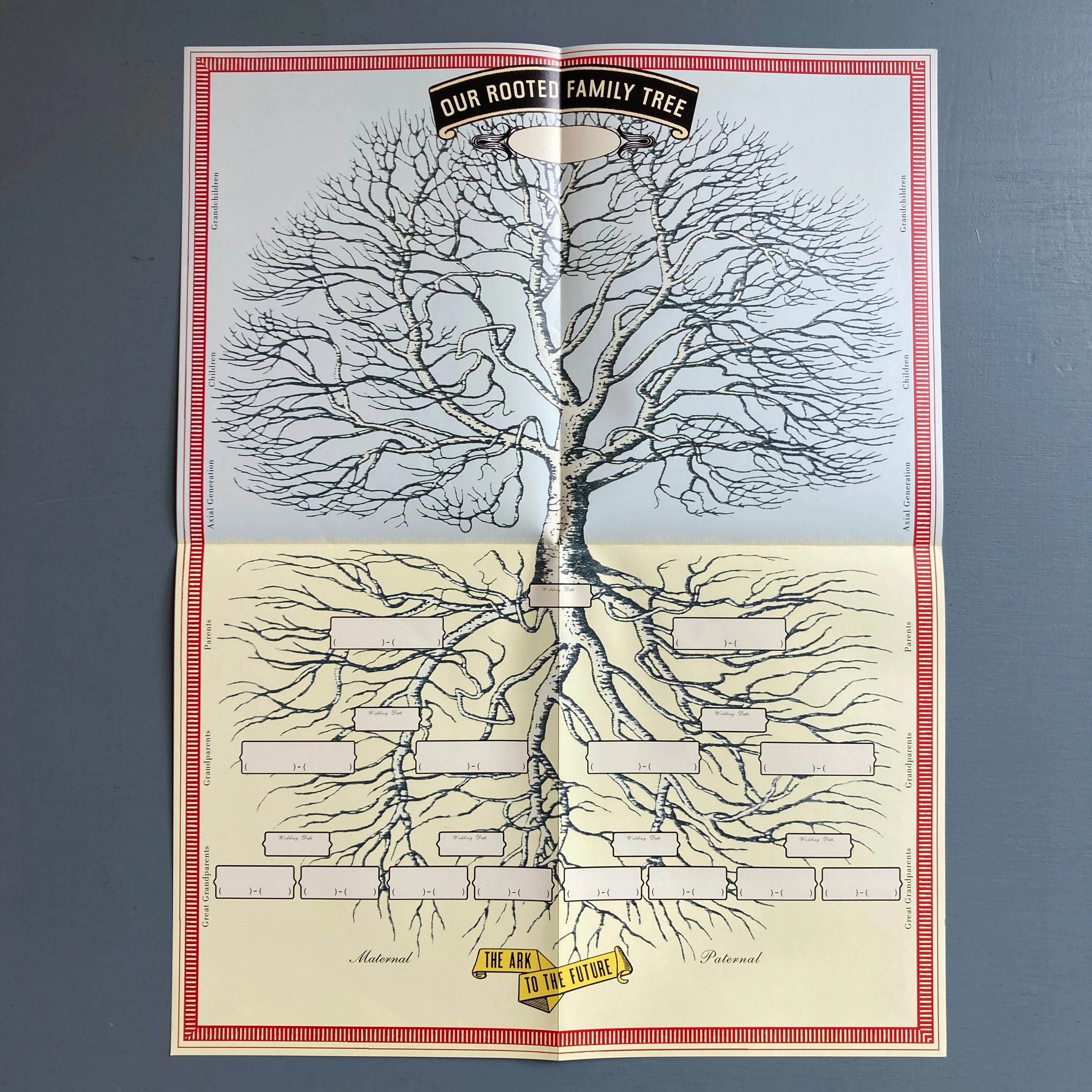 Joost Elffers & Michael Fragnito The Ark to The SaintMartin