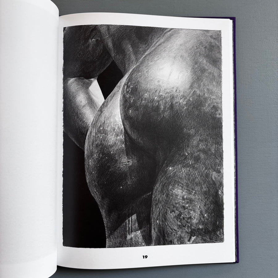 Karl Haendel - Great Ass at The Met - Triangle Books 2025