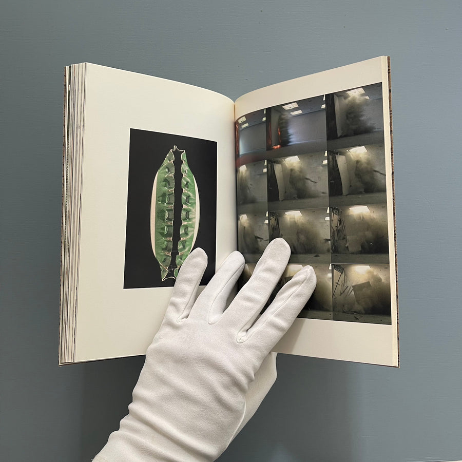 Kendell Geers - Fingered - Tikiriki 2005 - Saint-Martin Bookshop