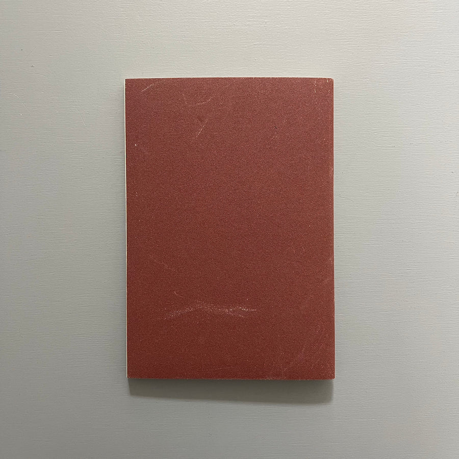 Kendell Geers - Fingered - Tikiriki 2005 - Saint-Martin Bookshop