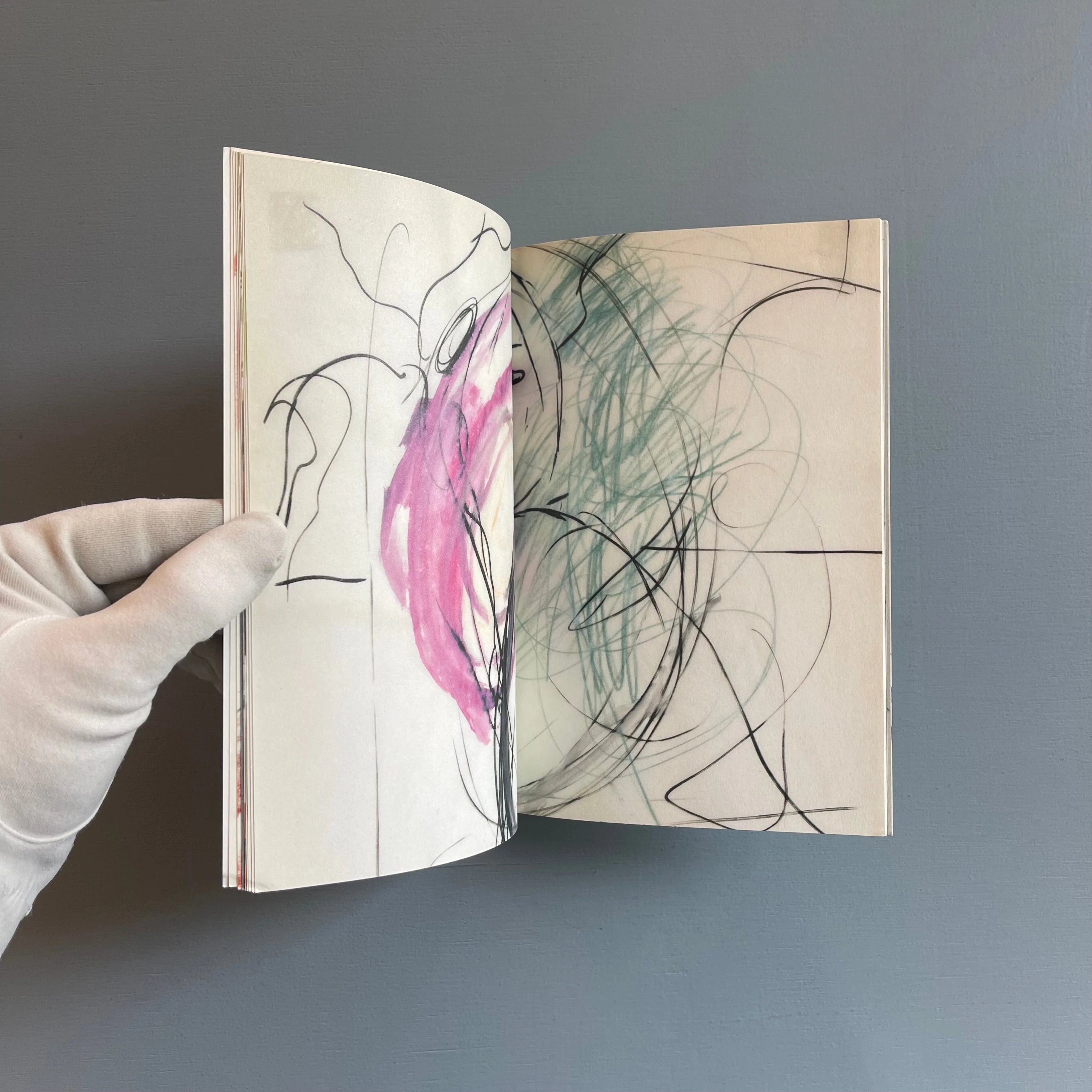 Kim Gordon - Chronicles Vol.2 - Nieves 2006 - Saint-Martin Bookshop