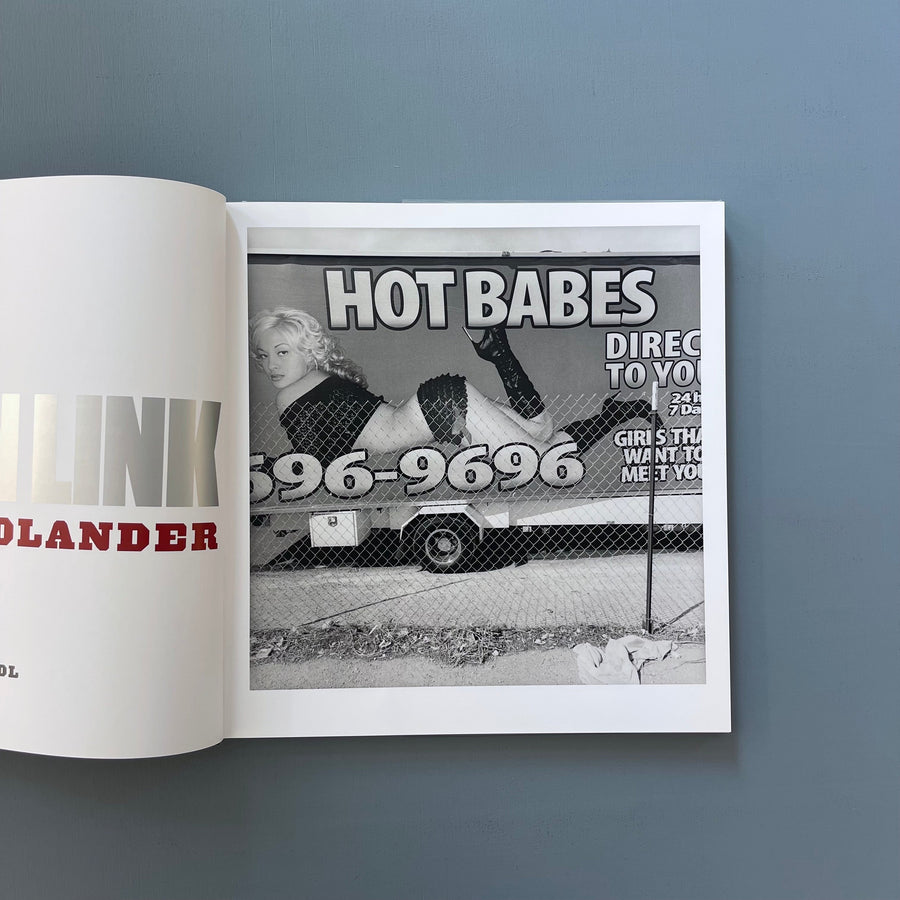 Lee Friedlander - Chain Link - Steidl 2017