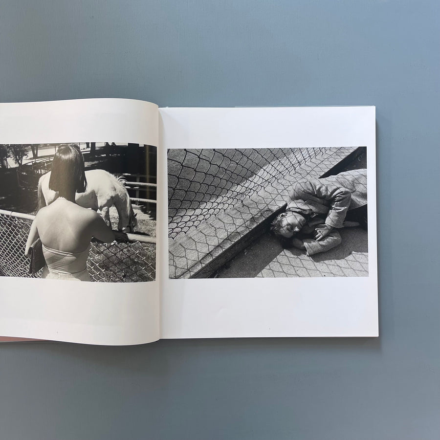 Lee Friedlander - Chain Link - Steidl 2017