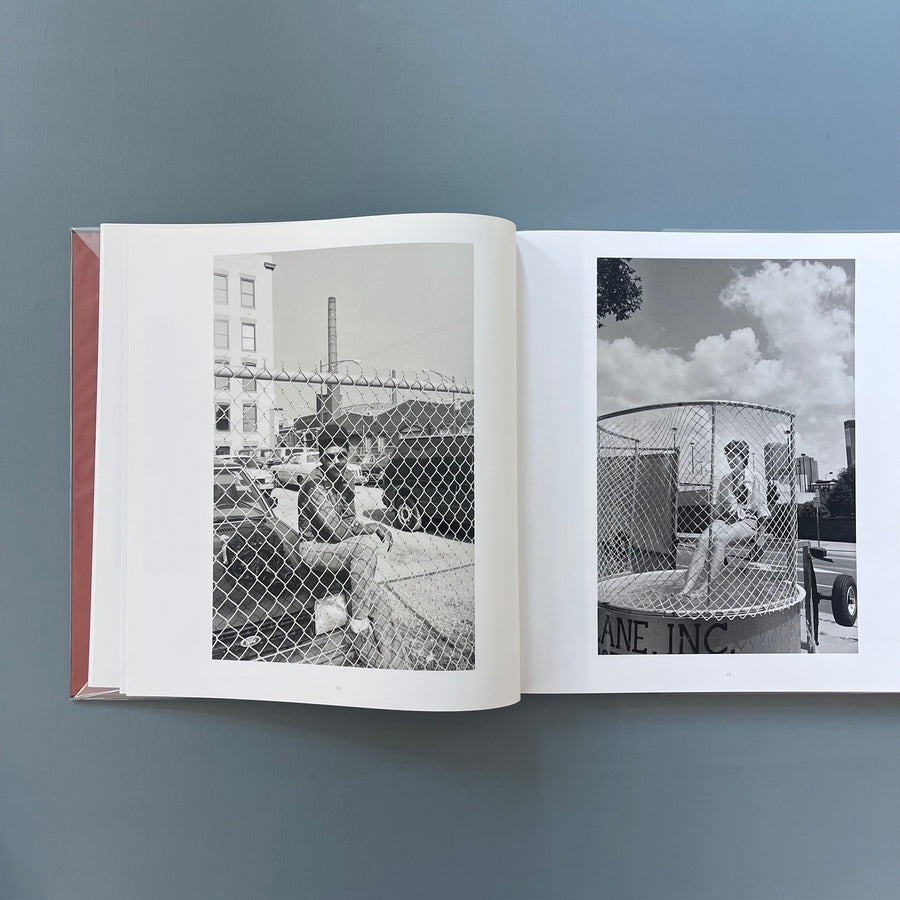 Lee Friedlander - Chain Link - Steidl 2017