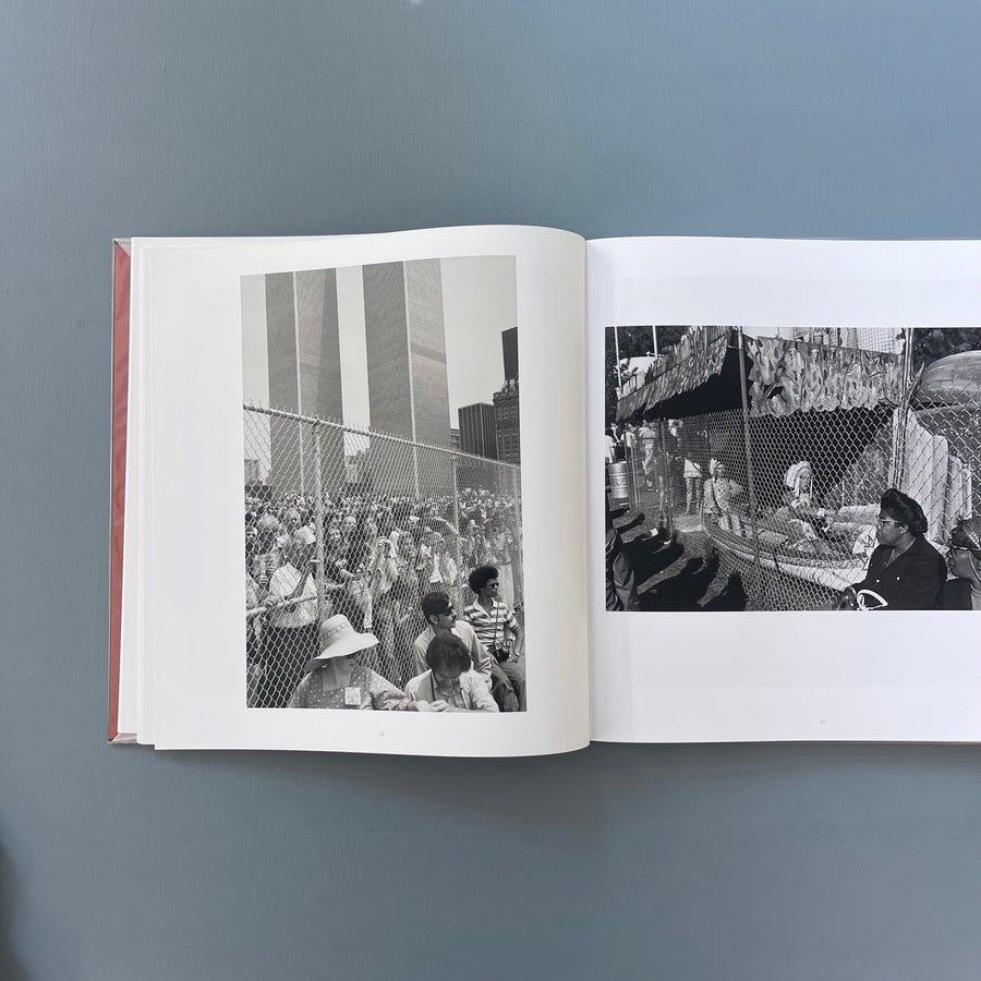 Lee Friedlander - Chain Link - Steidl 2017