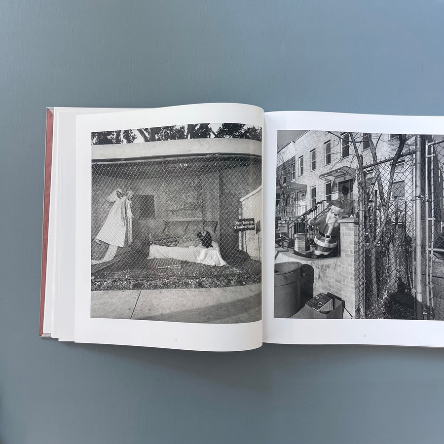 Lee Friedlander - Chain Link - Steidl 2017