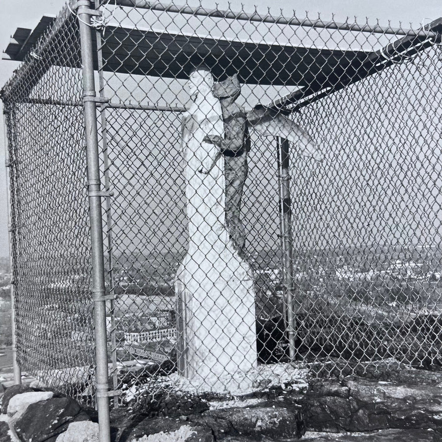 Lee Friedlander - Chain Link - Steidl 2017