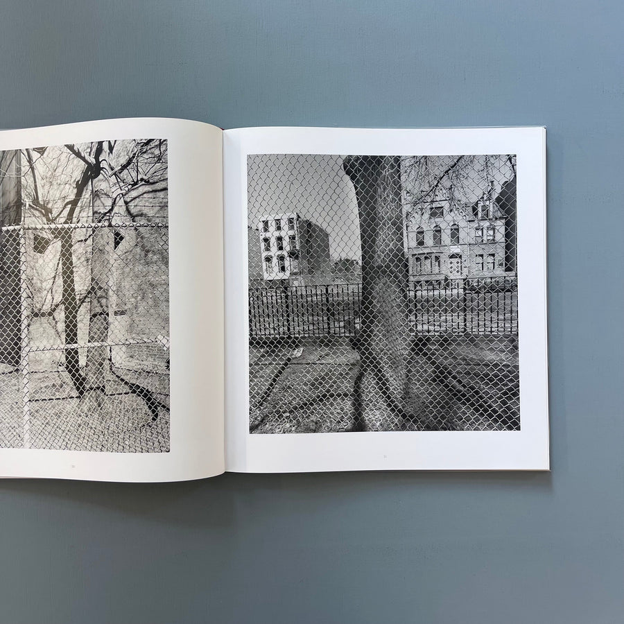 Lee Friedlander - Chain Link - Steidl 2017