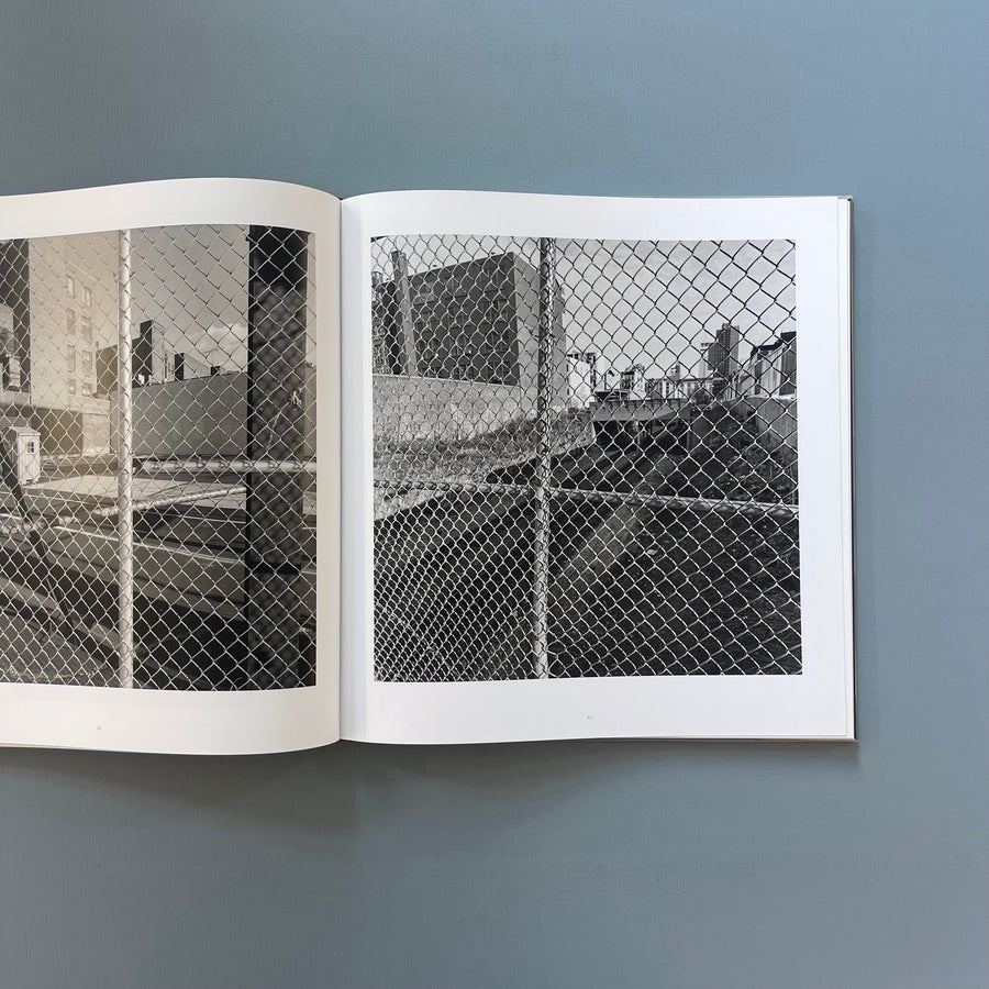 Lee Friedlander - Chain Link - Steidl 2017
