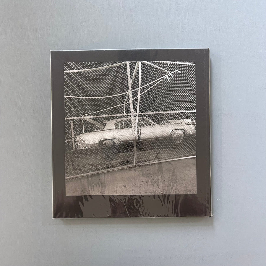Lee Friedlander - Chain Link - Steidl 2017
