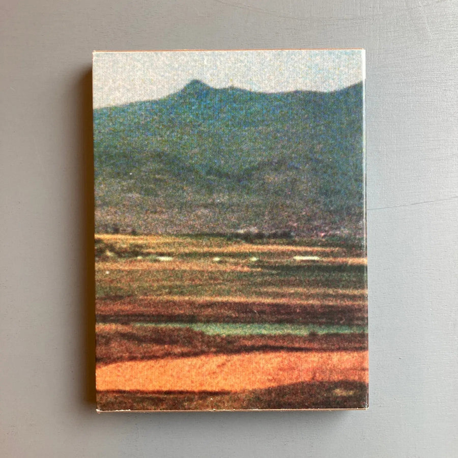 Leigh Ledare (signed) - Pretend you're actually alive - PPP Editions 2008 - Saint-Martin Bookshop