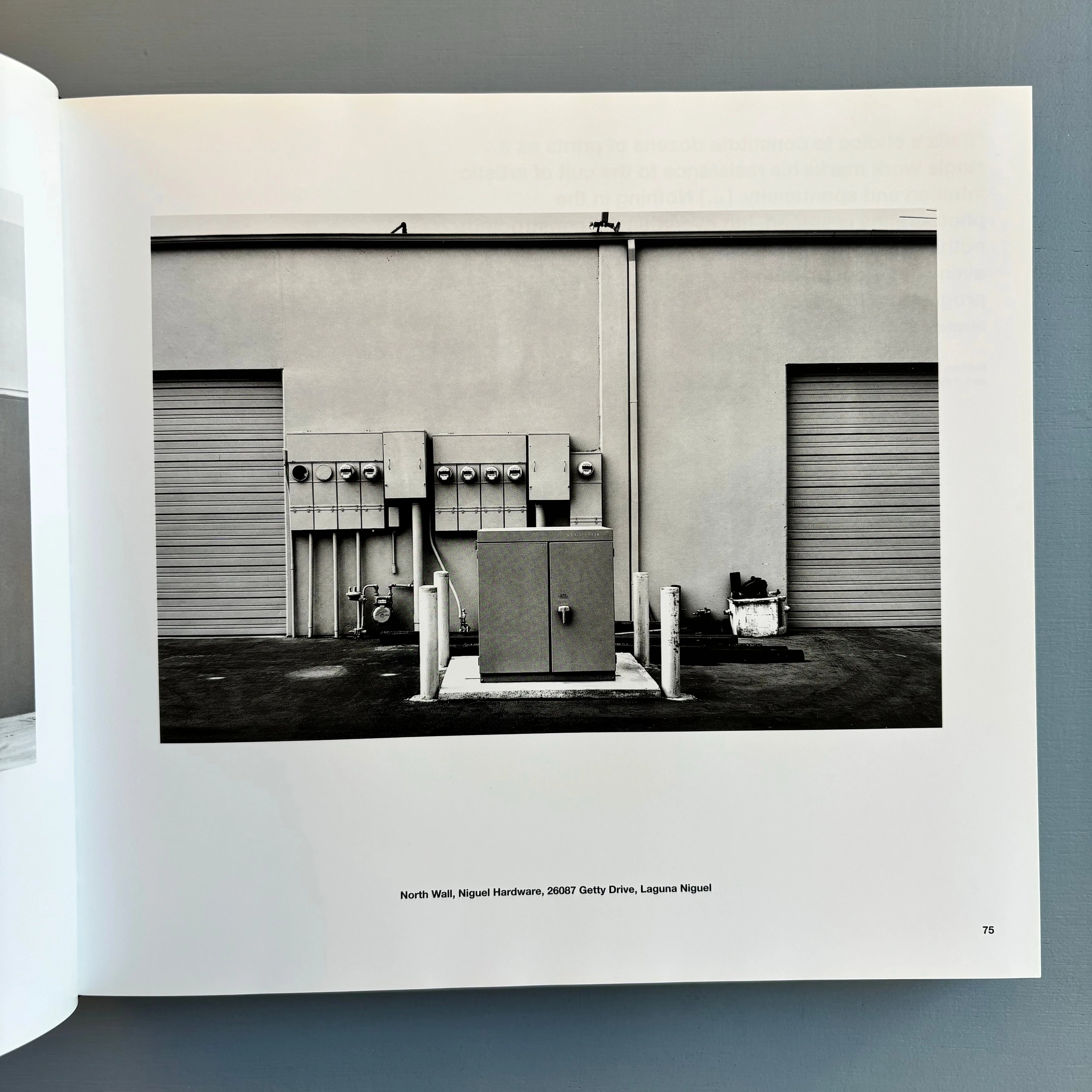Lewis-Baltz-Steidl-2017-