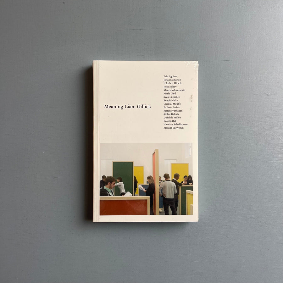 Liam Gillick - Meaning - MIT Press 2009 - Saint-Martin Bookshop