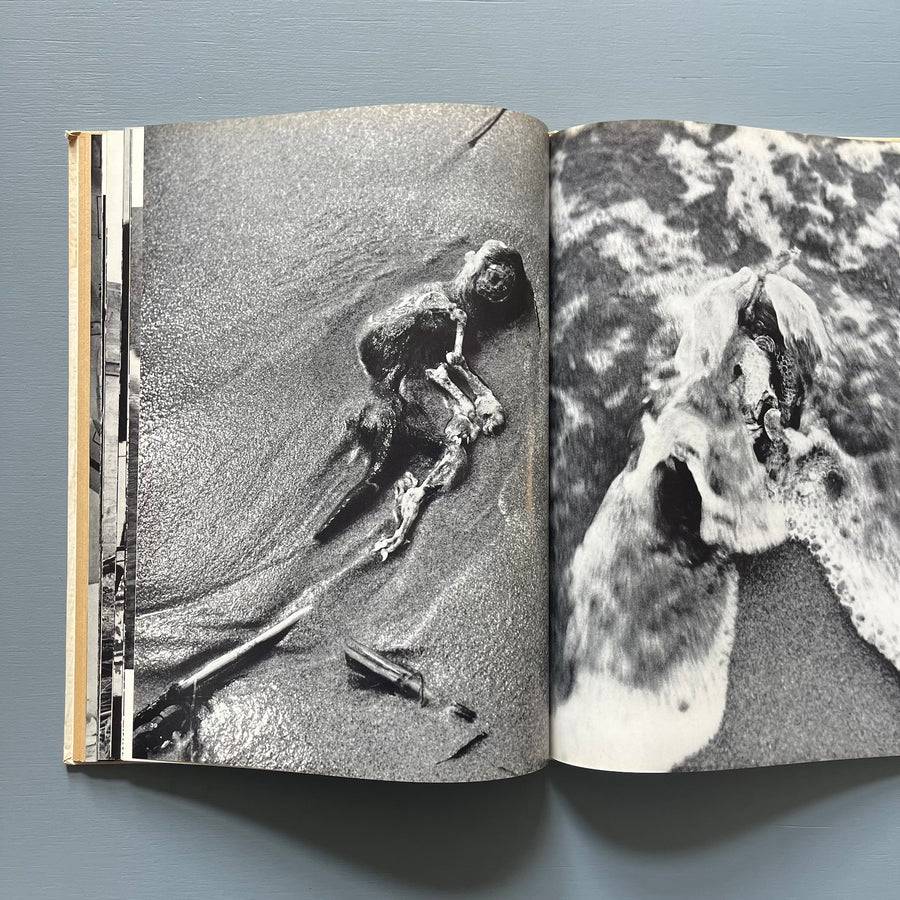 Lucien Clergue - Poesie der Photographie - DuMont Schauberg 1960 - Saint-Martin Bookshop
