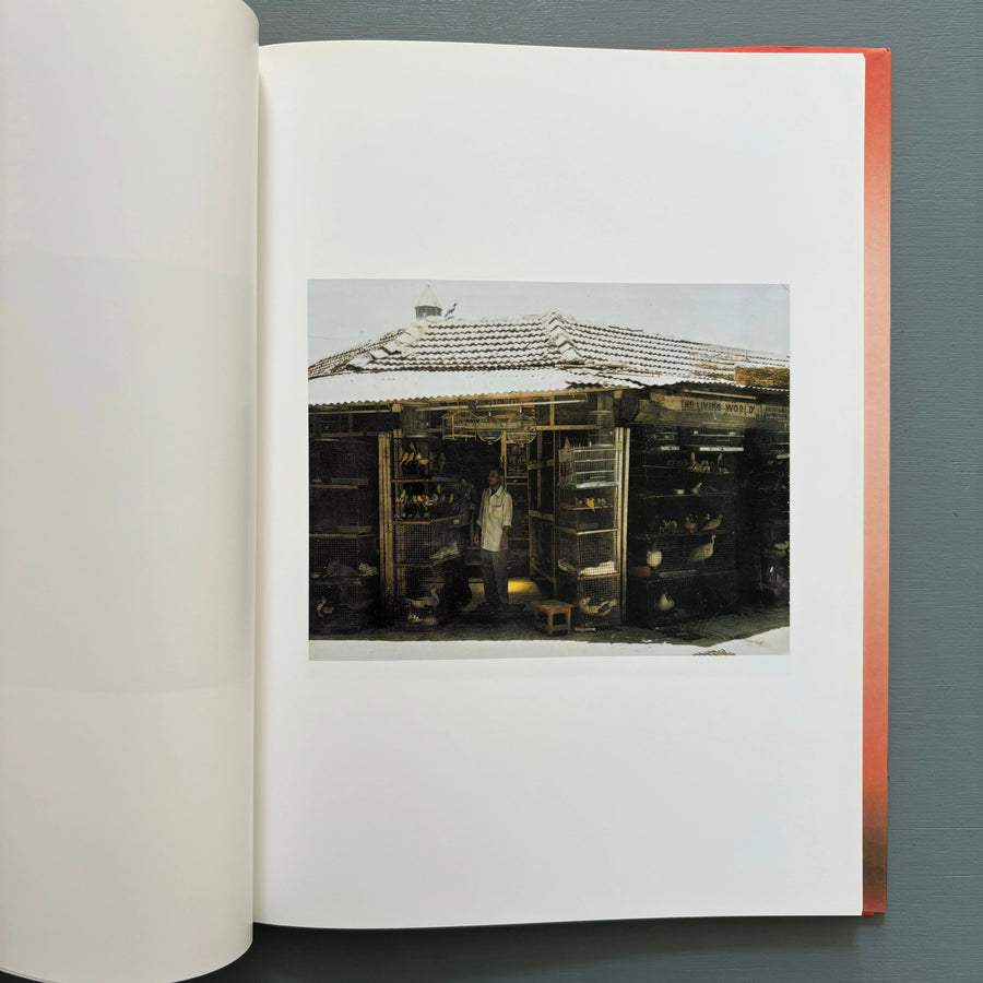 Roe Ethridge - Rockaway, NY - Steidl/MACK 2007 - Saint-Martin Bookshop