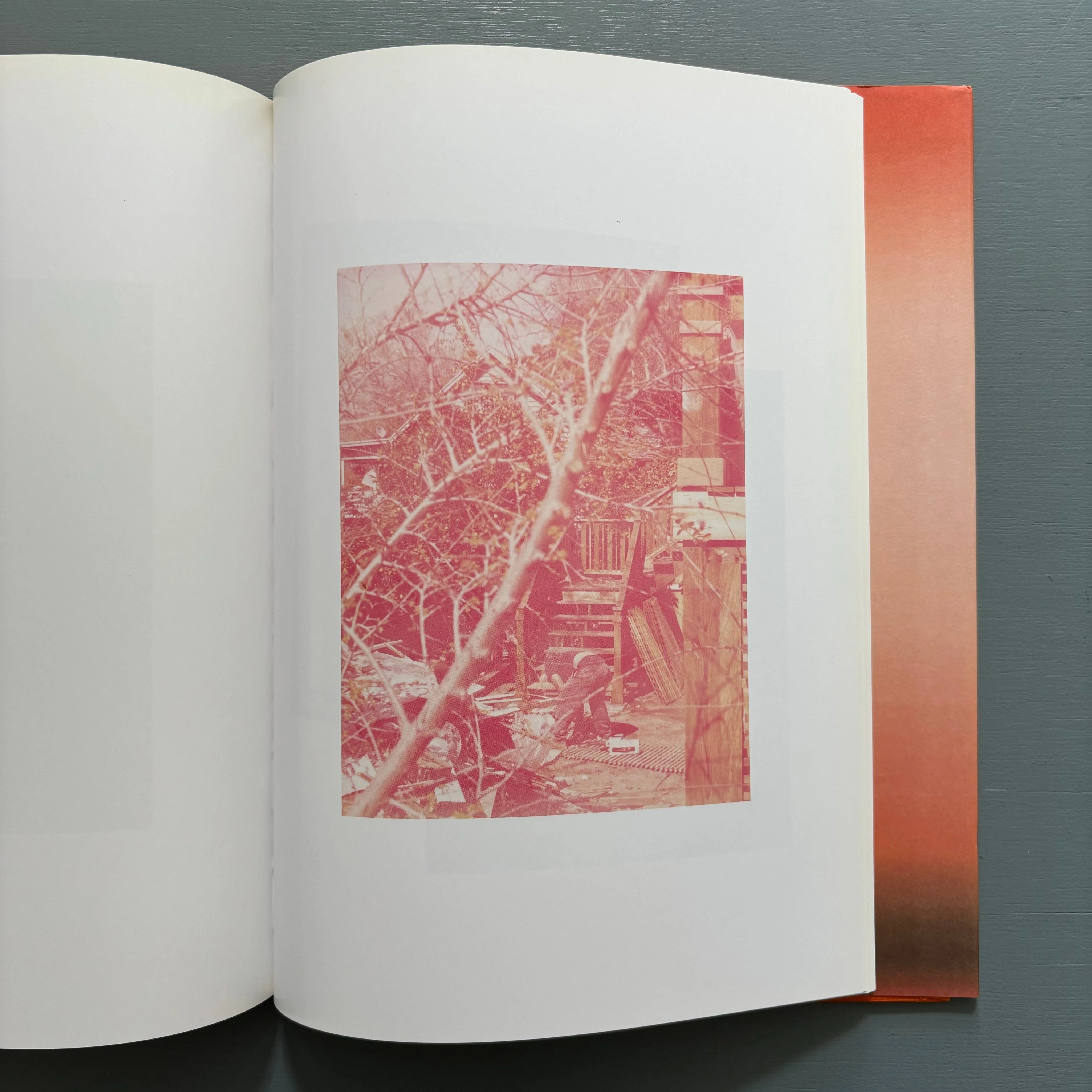 Roe Ethridge - Rockaway, NY [Hardcover] [2008] 1 Ed. Roe Ethridge: Roe  Ethridge: Amazon.com: Books