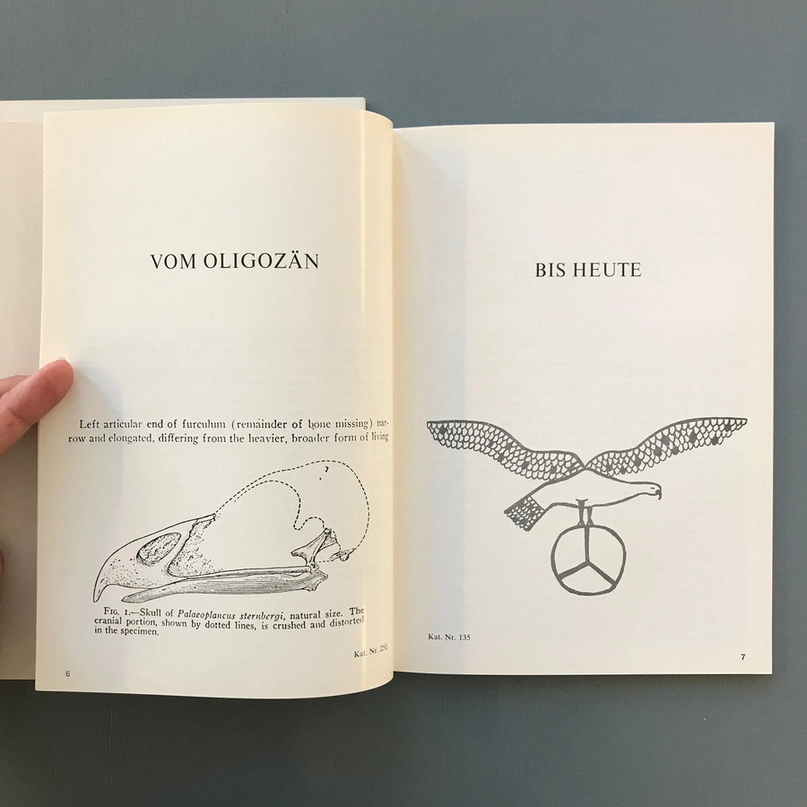 Marcel Broodthaers - Museum - Der Adler vom Oligozän bis heute - 1972 Saint-Martin Bookshop