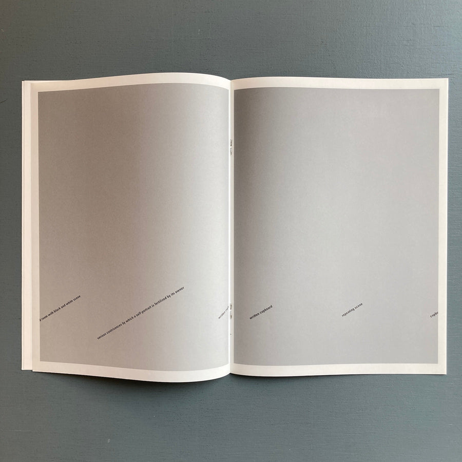 Mark Manders - Hallway with Sentences - Roma Publications 2005 - Saint-Martin Bookshop