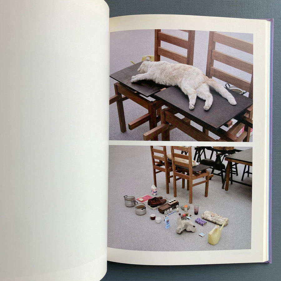 Mark Manders - Parallel Occurence - IMMA 2005 - Saint-Martin Bookshop