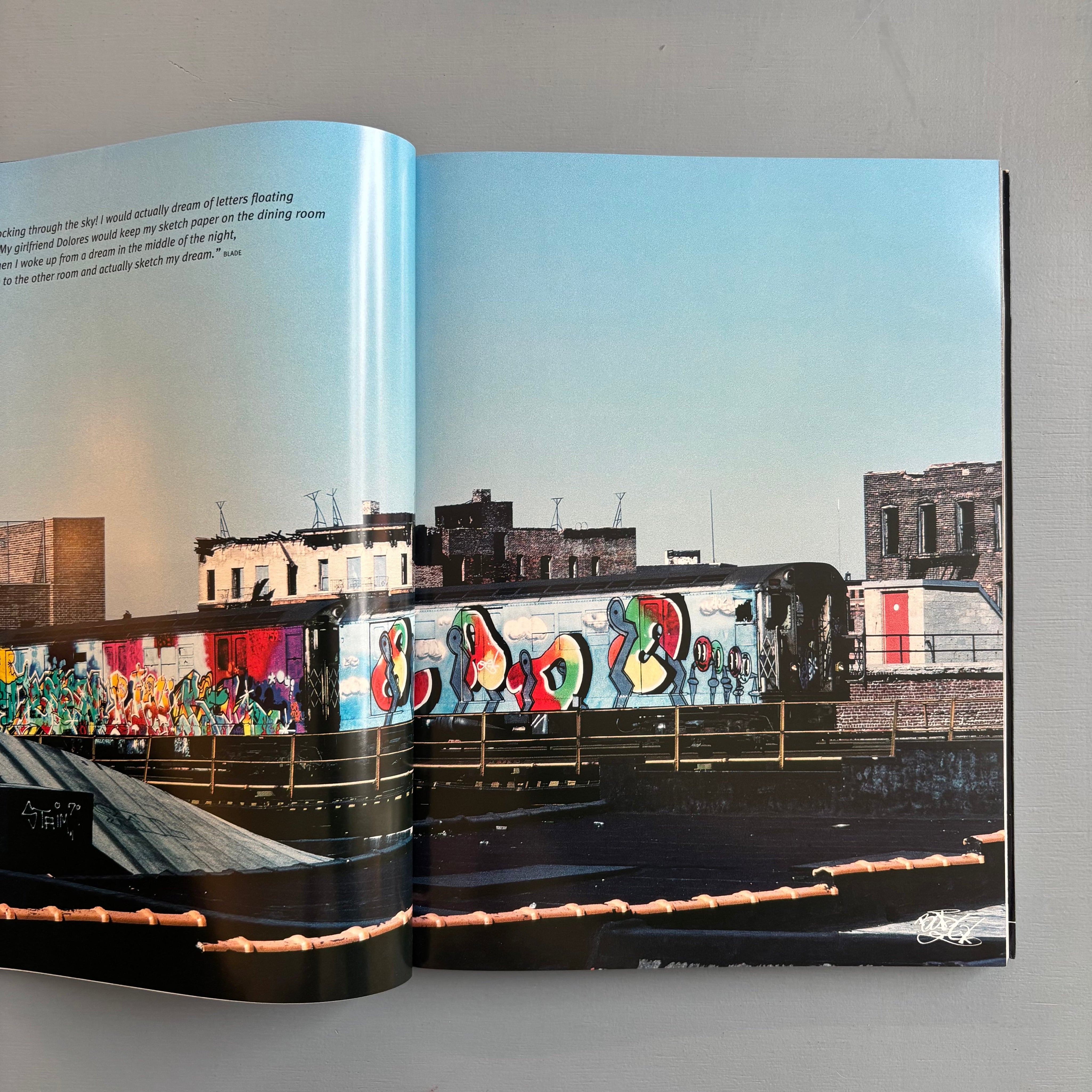Martha Cooper - Hip Hop Files Photographs 1979-1984 - From Here to