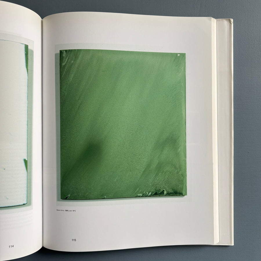 Marthe Wéry - Penser en peinture (1968-2000) - Ludion 2001 - Saint-Martin Bookshop