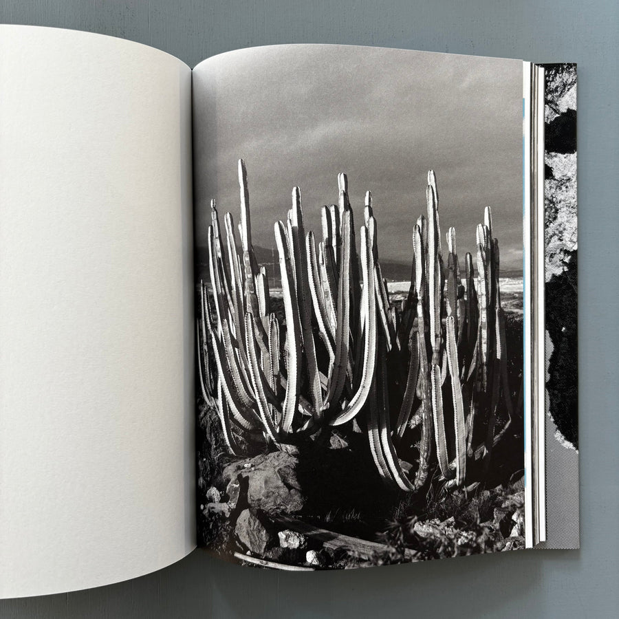Mashid Mohadjerin - Riding in Silence & The Crying Dervish - Self-published 2025 - Saint-Martin Bookshop