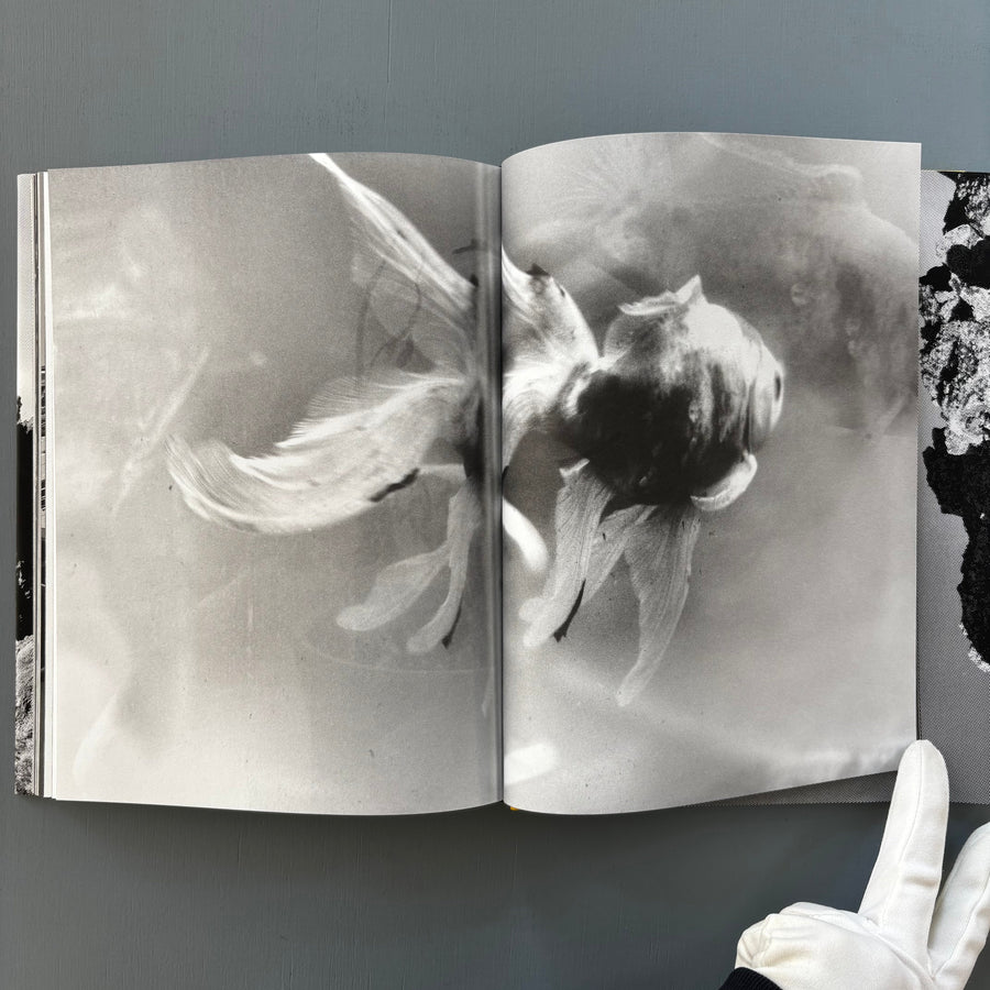 Mashid Mohadjerin - Riding in Silence & The Crying Dervish - Self-published 2025 - Saint-Martin Bookshop