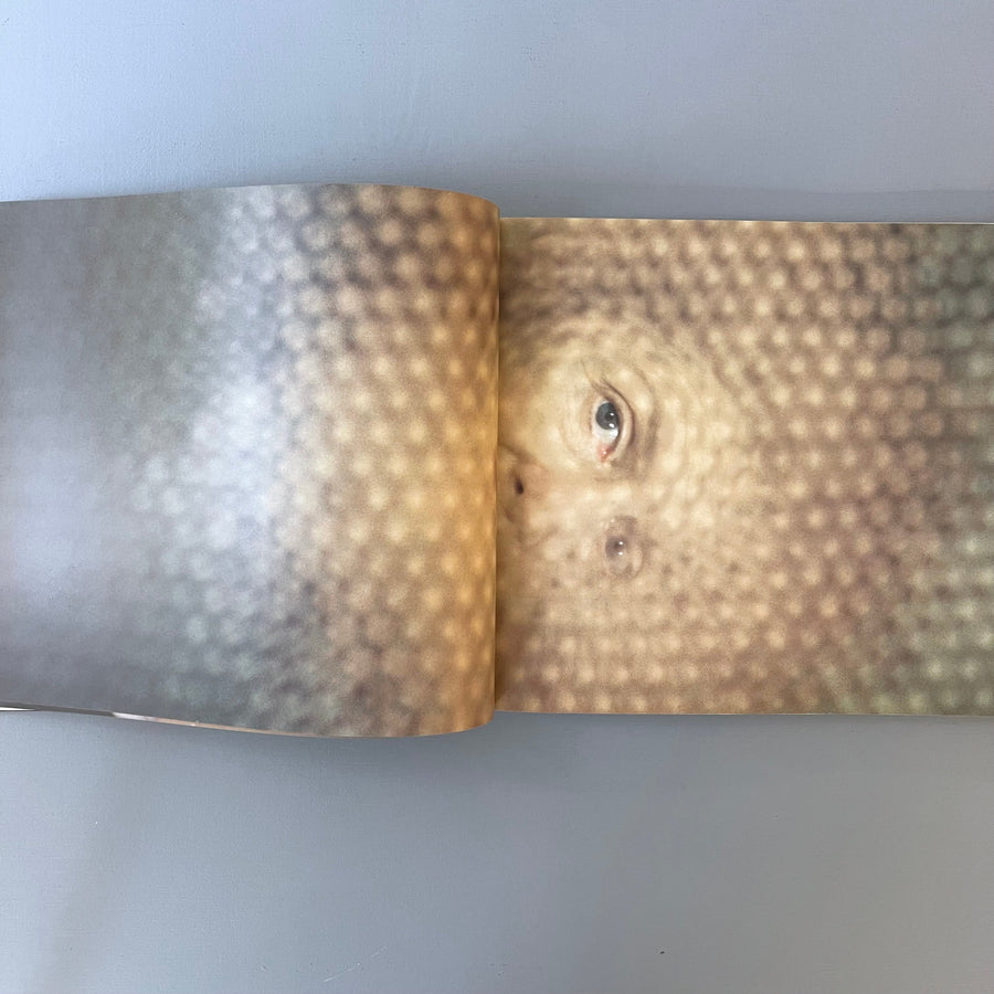 Matthew Barney - Cremaster 2 - Walker Art Center 1999