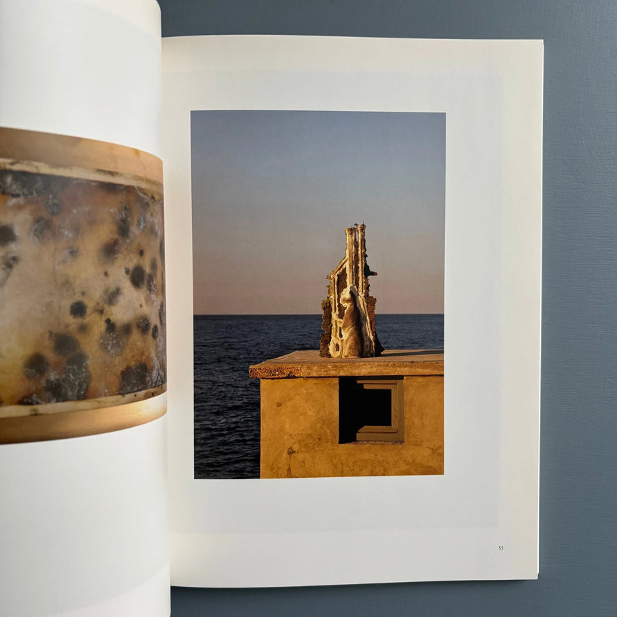 Matthew Barney & Elizabeth Peyton - Blood of Two - Deste Foundation 2010