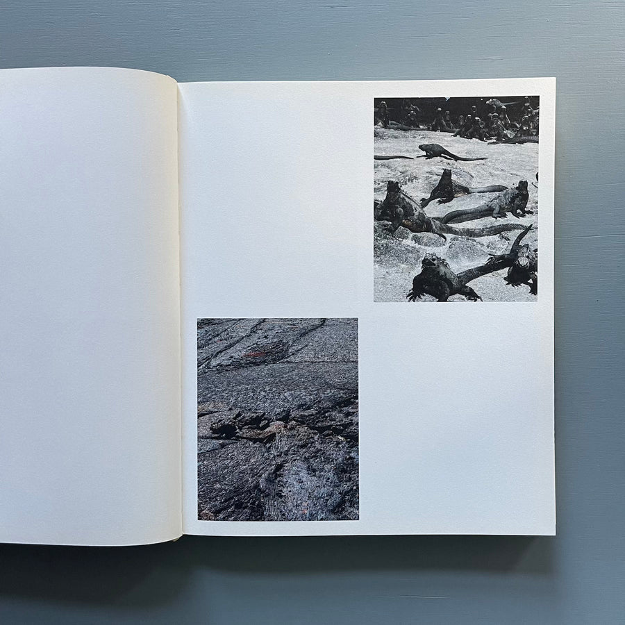 Matthew Porter - Archipelago - Mack 2015 - Saint-Martin Bookshop