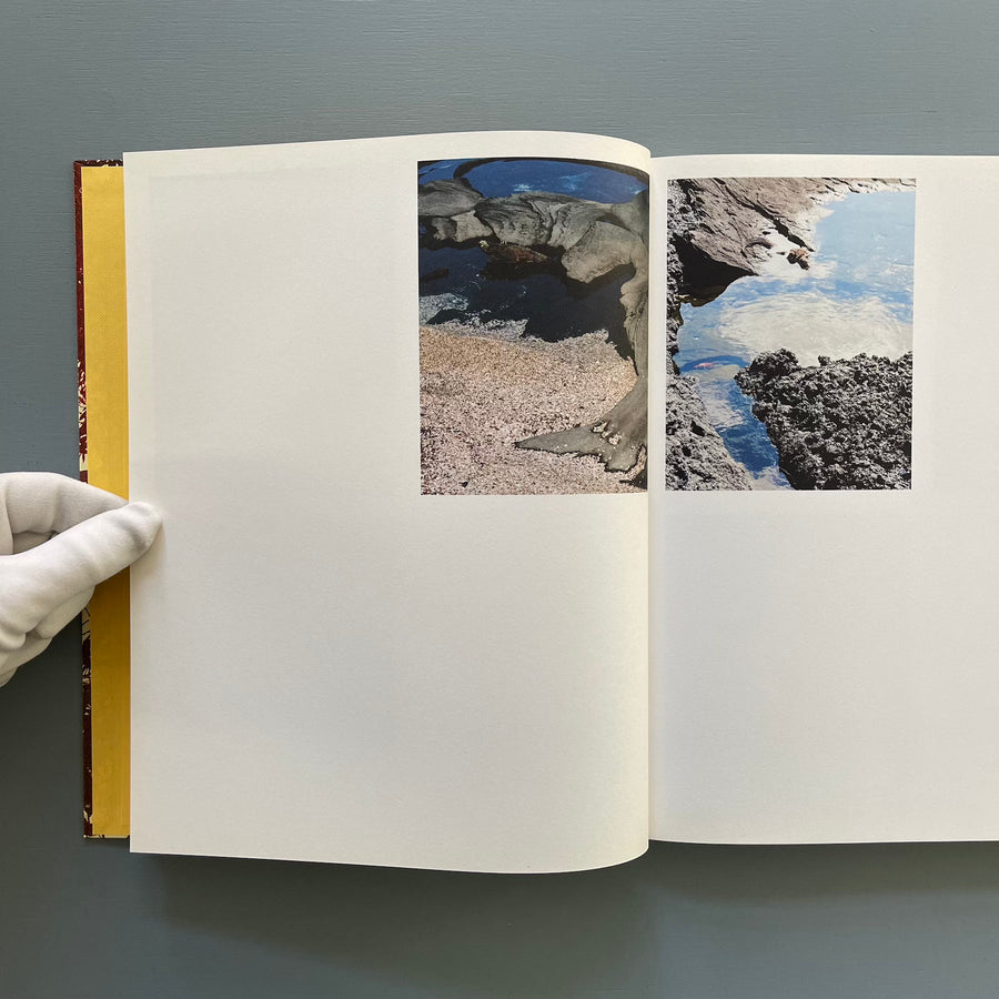 Matthew Porter - Archipelago - Mack 2015 - Saint-Martin Bookshop